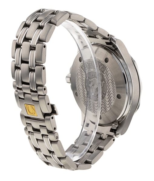 Omega Seamaster GMT 2534.50.00